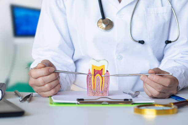 Best Urgent Dental Care for Toothache in Lake Hamilton, AR